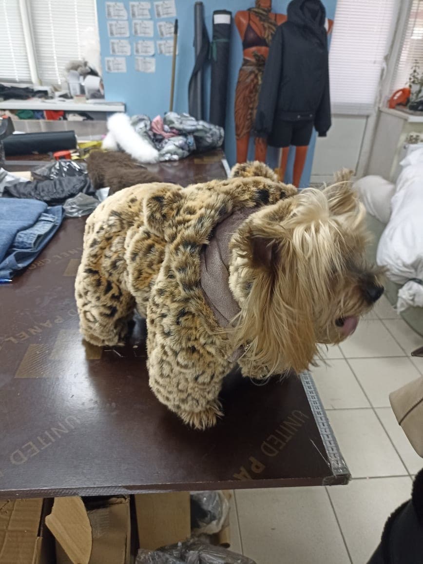 Одежда для собаки